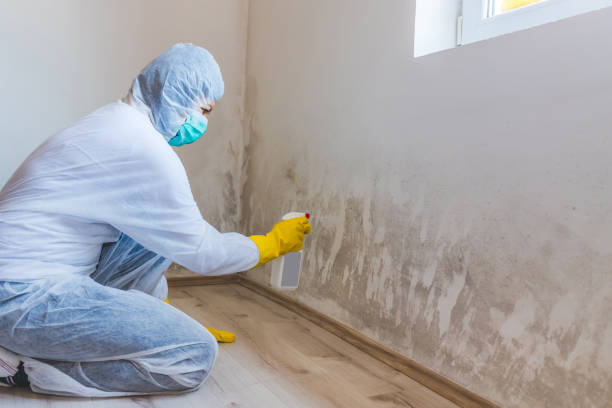 Mold inspector in Harbert performing thermal imaging