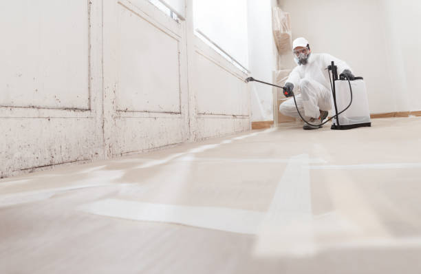 Black mold remediation team in Harbert