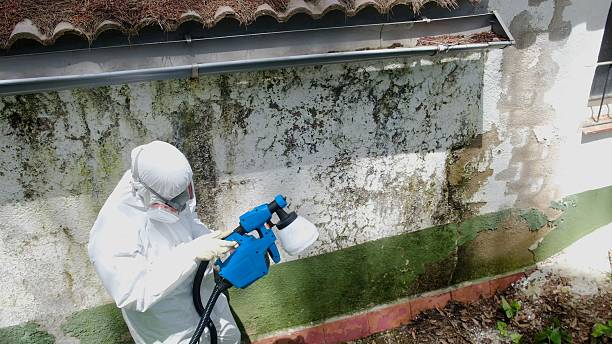 Mold Removal service in Harbert